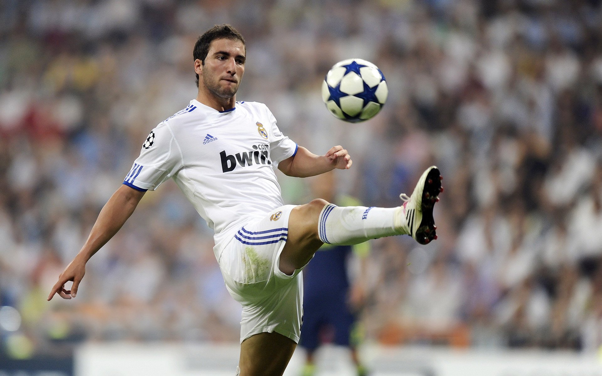 全国拳击锦标赛男子决赛 三名新科拳王产生